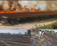 बाराबंकी में आग का तांडव : 400 बीघा फसल जलकर खाक, रो पड़ा किसान