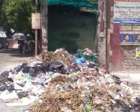 नगर आयुक्त के आदेश की उड़ रहीं धज्जियां! 7 बजे के बाद निकल रही कूड़ा उठाने वाली गाड़ियां, शहर में कूड़े के ढेर