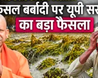 UP News: सीएम योगी का आदेश, फसलों की बर्बादी का मुआयना करके 24 घंटे के अंदर किसानों की करें मदद 