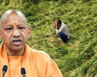 बेमौसम बारिश से परेशान किसानों का CM योगी ने हाल जाना, जिलाधिकारियों से मांगी रिपोर्ट 