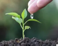 शैक्षिक संस्थान लगाएंगे 44 लाख से अधिक पौधे... वर्ष 2026-27 में प्रदेश में होगा 35 करोड़ पौधों का रोपण