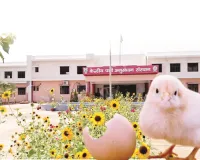 बरेली की पहचान, देश का गौरव बना CARI : एशिया के पोल्ट्री हब की गौरवगाथा