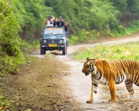 Uttrakhand: पर्यटकों की कमी से जूझ रहा कॉर्बेट पार्क, 58 हजार कम पहुंचे सैलानी