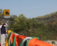 खास तोहफा: खूबसूरत गलियारा, हर किसी को प्यारा, एलिवेटेड वाइल्ड लाइफ कॉरिडोर की बात निराली