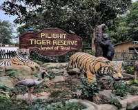 UP: अब पीटीआर के डिप्टी डायरेक्टर करेंगे अवैध होटल-रिसॉर्ट्स की जांच