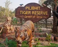 UP:पीटीआर-नेपाल के बर्दिया नेशनल पार्क के बीच साझा हुए संरक्षण के गुर