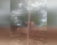 UP: मकान गिराने पहुंची थी टीम, बाप-बेटों ने फांसी लगाने का किया प्रयास, हालत बिगड़ी