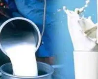  बुलंदशहर में मिलावटी दूध पर बड़ा एक्शन :  6 इकाइयों के निलंबित होंगे लाइसेंस, सहारनपुर में 5.75 करोड़ के उत्पाद जब्त 