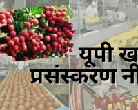 यूपी खाद्य प्रसंस्करण नीति:   SLEC बैठक में 18 नए प्रस्तावों को मंजूरी, नए प्रोजेक्ट्स से बढ़ेगा निवेश