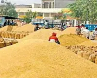 फार्मर रजिस्ट्री की बाध्यता खत्म :  सरकारी केंद्रों की तरफ बढ़ा किसानों का रुझान, एक दिन में पांच हजार क्विंटल गेहूं खरीद