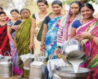यूपी में नारी सशक्तिकरण की नई तस्वीर: 55 हजार महिलाएं डेयरी से बनीं सफल उद्यमी, आय में आया बड़ा बदलाव 
