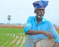 उर्वरक की टैगिंग पर योगी सरकार सख्त : खरीफ फसल के लिए यूरिया और डीएपी का कोटा तय, जानें नियम 
