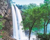 प्राकृतिक सौंदर्य का दर्शनीय स्थल अमरकंटक 