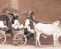 कहां खो गया इक्का!