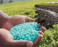 यूपी में खरीफ फसलों के लिए उर्वरकों का लक्ष्य तय,  ब्लॉक और तहसील स्तर पर कमेटी रखेंगी नजर