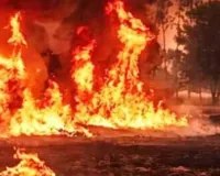 अयोध्या में आग लगने से सैकड़ों बीघा गेहूं की फसल जलकर राख, प्रशासन ने कही ये बात