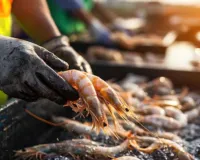 सीफूड एक्सपोर्ट में भारत ने रचा इतिहास,  72,000 करोड़ का रिकार्ड निर्यात, फ्रोजन झींगा बना विदेशी कमाई का सबसे बड़ा जरिया