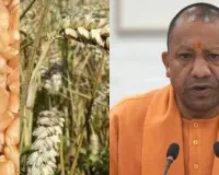  यूपी के किसानों को बड़ी राहत: सरकारी क्रय केंद्रों पर फार्मर रजिस्ट्री के बिना भी बेच सकेंगे गेहूं, सीएम योगी ने दिए निर्देश 