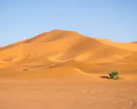 हिमालय की शुद्ध आबोहवा पर थार का 'जैविक प्रहार'