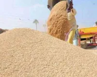 मुख्य सचिव के गेहूं खरीद-उर्वरक वितरण को लेकर सख्त निर्देश,  पीएम किसान पंजीकरण अनिवार्य, केवल पीओएस से उर्वरक बिक्री 