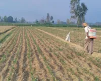  यूपी में बीज योजनाओं के लिए 670 करोड़ की मंजूरी, किसानों को मिलेगा सब्सिडी का लाभ