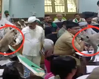 किसान दिवस पर बागपत में अजीबों-गरीब वाकिया....   DM की कुर्सी के पास पहुंचा लंगूर, कुछ समय के लिए बाधित रही कार्यवाही