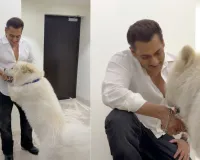  सलमान का इमोशनल कर देने वाला पोस्ट, अपने सबसे प्यारे साथी के साथ दिखाईं खास झलकियां 