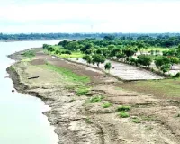 जैविक क्रांति से गंगा किनारे 26 जिलों की बदल रही तस्वीर,  नमामि गंगे के तहत 3370 क्लस्टर, ग्रामीण अर्थव्यवस्था को नई मजबूती 