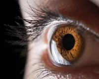 वैज्ञानिक फैक्ट:  आखिर क्यों होता है पुरुषों में कलर ब्लाइंडनेस ज्यादा