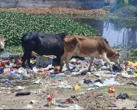 Bareilly : डोहरा तालाब में मिला खतरनाक एमडीआर ई कोलाई बैक्टीरिया