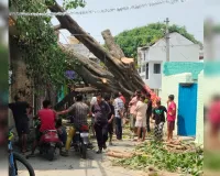 Bareilly : संजय नगर में तीन दिन से बिजली गुल, 15 खंभे टूटे