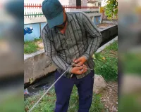 Moradabad : नहीं सुधरी बिजली आपूर्ति, कई क्षेत्रों में संकट बरकरार