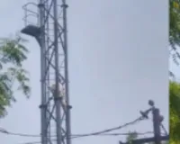Noida News : प्रेमी की दूसरी शादी की खबर सुन टॉवर पर चढ़ी युवती, घंटों चला हाई वोल्टेज ड्रामा 