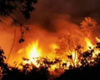 सामयिकी : दावानल लील लेती है प्राकृतिक जीवन