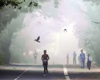 Moradabad:धूल और धुएं से घुट रहीं सांसें, बढ़ रही रोगियों की संख्या