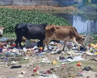 Bareilly:डोहरा तालाब में मिला खतरनाक एमडीआर ई कोलाई बैक्टीरिया