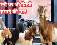 महंगाई की मार: कुर्बानी कम होने से मदरसों की टूटी कमर, दान में कमी से संकट में मदरसों का बजट