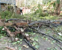 Bareilly:आंधी-बारिश ने मचाई तबाही....शहर के कई इलाके अंधेरे में डूबे
