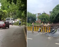 Bareilly:शहर में आंधी और तेज बारिश का कहर...कई जगह पेड़ और होर्डिंग्स धराशायी