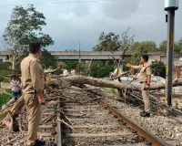 Moradabad News: तेज आंधी, तूफान से हरिद्वार–मोतीचूर रेलखंड पर गिरा पेड़, कुछ देर बाधित रहा रेलखंड