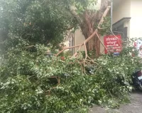 Bareilly: दूसरे दिन भी शहर से देहात तक आंधी-बारिश का कहर, छात्रा और बुजुर्ग महिला की मौत