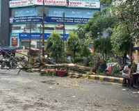 UP: बरेली मंडल में आंधी तूफान से तबाही, बदायूं में पांच व शाहजहांपुर में दो की मौत 