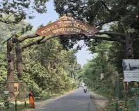 UP: पीटीआर में सुरक्षा के दावे फेल, कार सवारों का वनकर्मी पर हमला