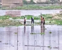 Moradabad:रामगंगा नदी में बड़ी संख्या में मरी मछलियां, पानी जहरीला होने की आशंका