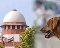 सुप्रीम कोर्ट ने आवारा कुत्तों पर खारिज की आदेश वापस लेने की याचिकाएं,'बच्चों और बुजुर्गों की सुरक्षा सर्वोपरि'.. आदेश रहेगा बरकरार'