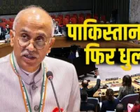  कश्मीर पर न दें ज्ञान... नरसंहार से कलंकित इतिहास,  UNSC में भारत ने पाकिस्तान को दिखाया आईना 