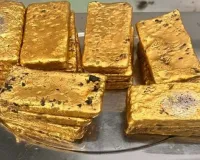   IGI Airport: चॉकलेट के डिब्बों से निकला लाखों का सोना पाउडर, IGI एयरपोर्ट पर जब्त 396 ग्राम सोना 