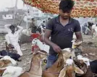 बकरीद पर गोरखपुर में 24 घंटे चलेगा विशेष सफाई अभियान, नगर आयुक्त ने दिए सख्त निर्देश