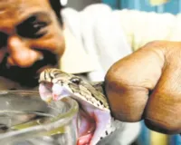 वैज्ञानिक फैक्ट: इंसानों में भी छिपी है ज़हर बनाने की क्षमता 