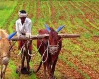 यूपी के किसानों को मिलेगा फसल सुरक्षा का कवच, नेशनल क्रॉप इंश्योरेंस प्रोग्राम के लिए 24.73 करोड़ की वित्तीय मंजूरी
